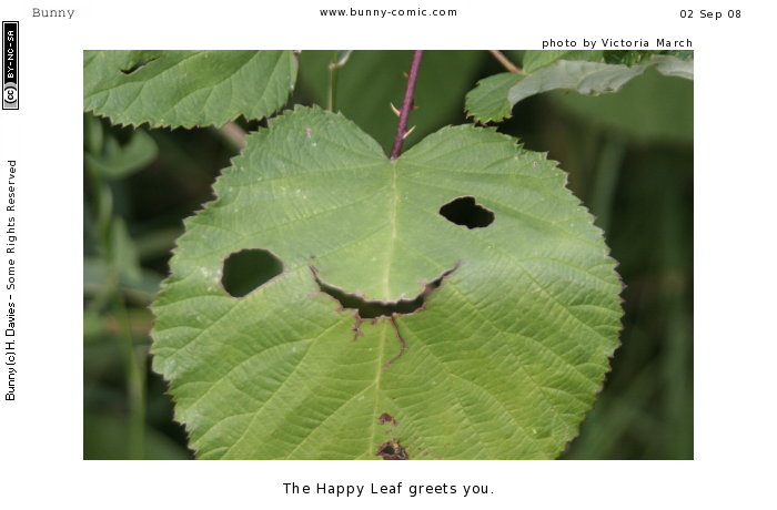 the happy leaf