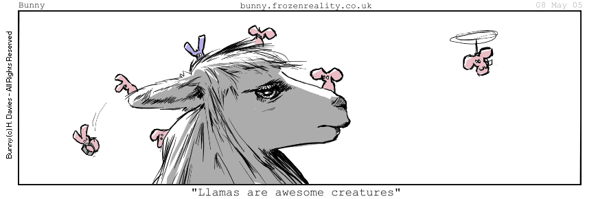 here a llama, fuzzy llama, little llama