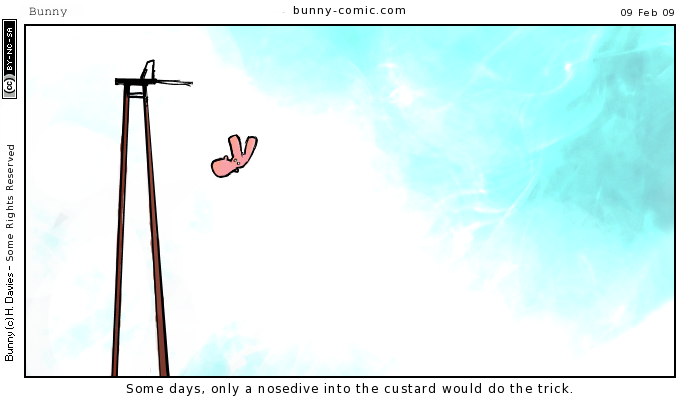 birds terminal velocity