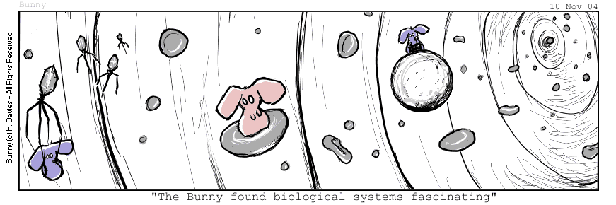 cells