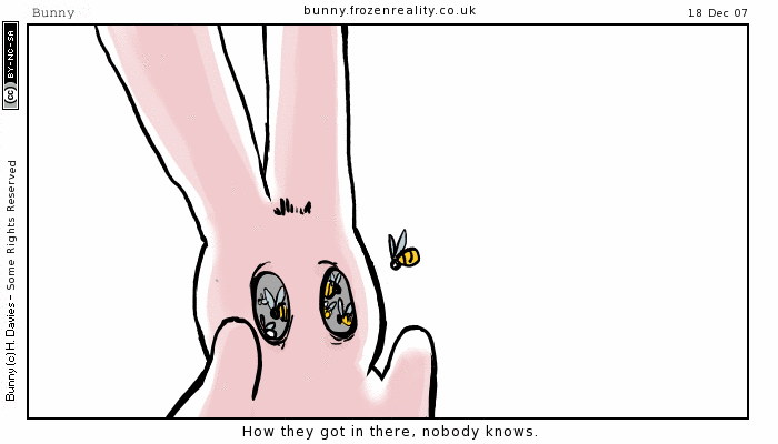 the bees, which are in my eyes again