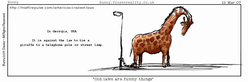 giraffes are pretty funny too