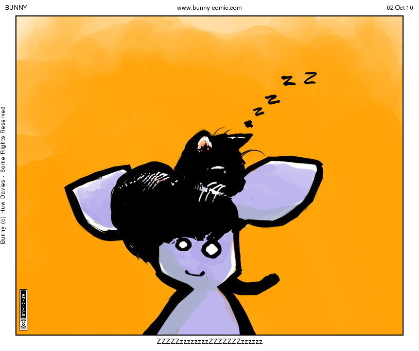 kittysnooze