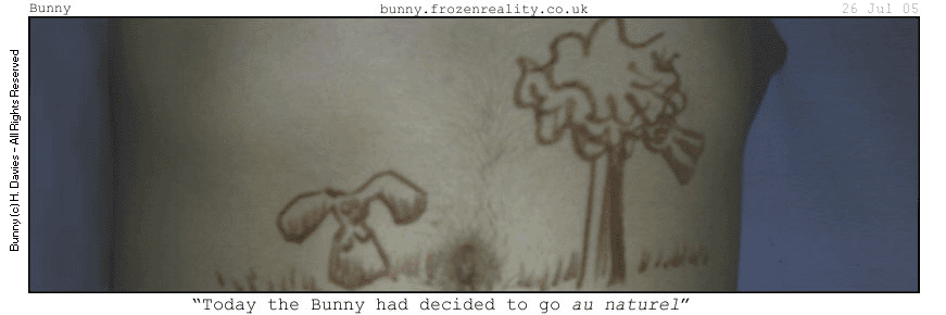 bunny bunny in my tummy- star